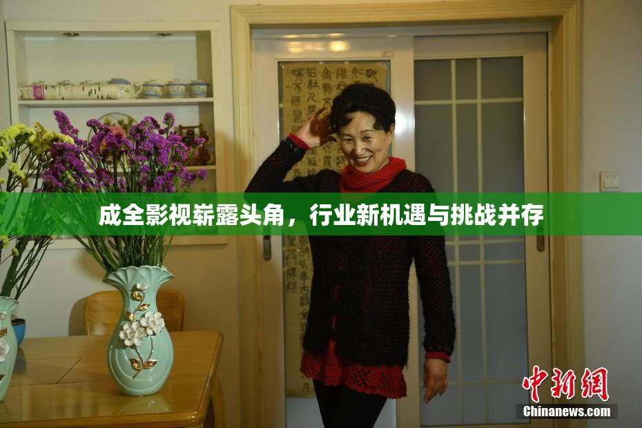 成全影视崭露头角，行业新机遇与挑战并存