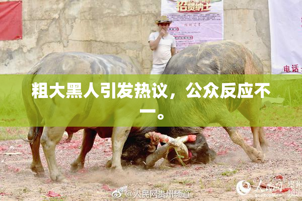粗大黑人引发热议，公众反应不一。