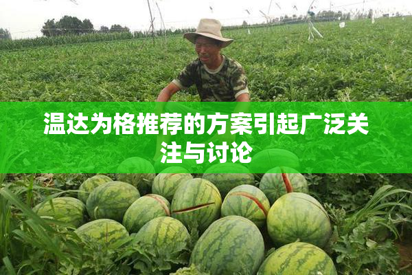 温达为格推荐的方案引起广泛关注与讨论