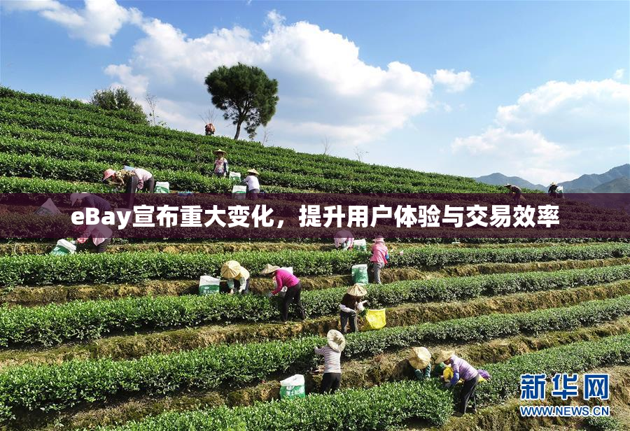 eBay宣布重大变化，提升用户体验与交易效率