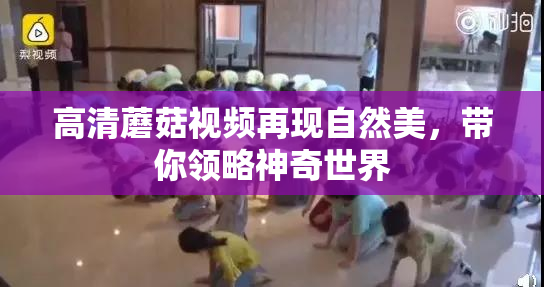 高清蘑菇视频再现自然美，带你领略神奇世界