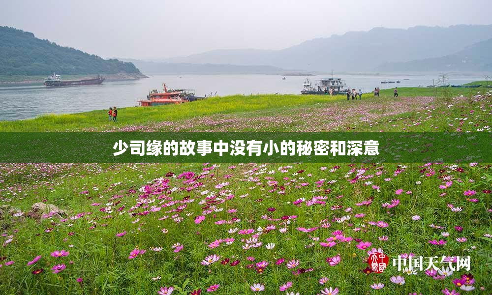 少司缘的故事中没有小的秘密和深意