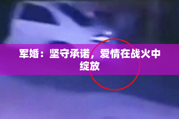 军婚：坚守承诺，爱情在战火中绽放