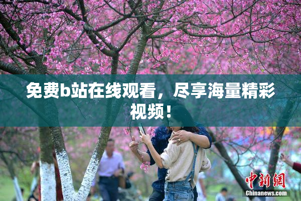 免费b站在线观看，尽享海量精彩视频！