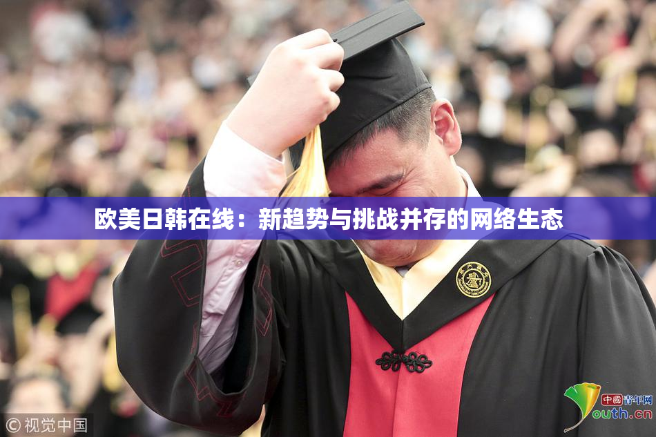 欧美日韩在线：新趋势与挑战并存的网络生态