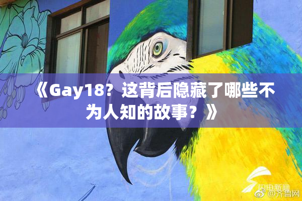 《Gay18？这背后隐藏了哪些不为人知的故事？》