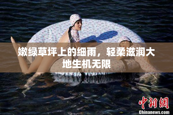 嫩绿草坪上的细雨，轻柔滋润大地生机无限