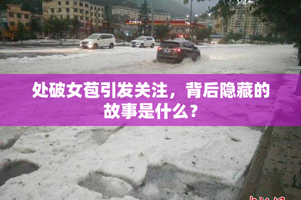 处破女苞引发关注，背后隐藏的故事是什么？