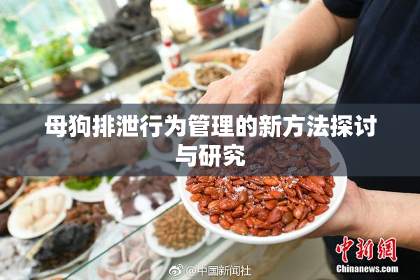 母狗排泄行为管理的新方法探讨与研究