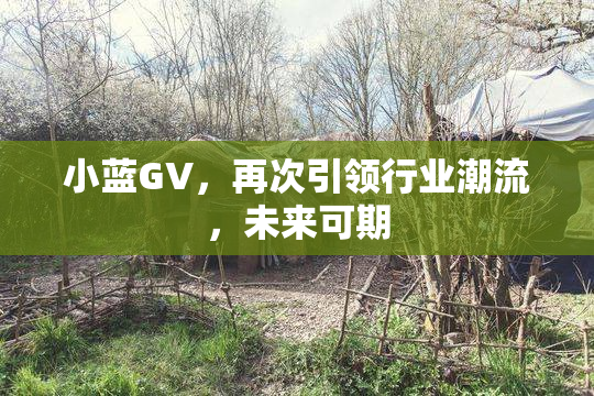 小蓝GV，再次引领行业潮流，未来可期