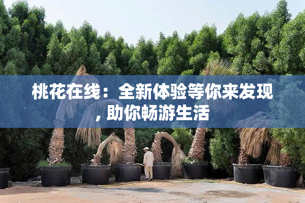 桃花在线：全新体验等你来发现, 助你畅游生活
