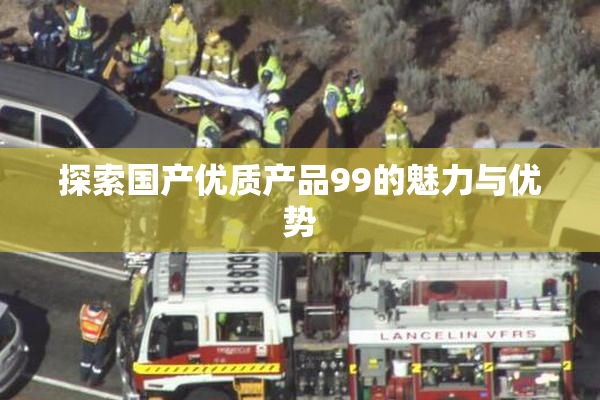 探索国产优质产品99的魅力与优势