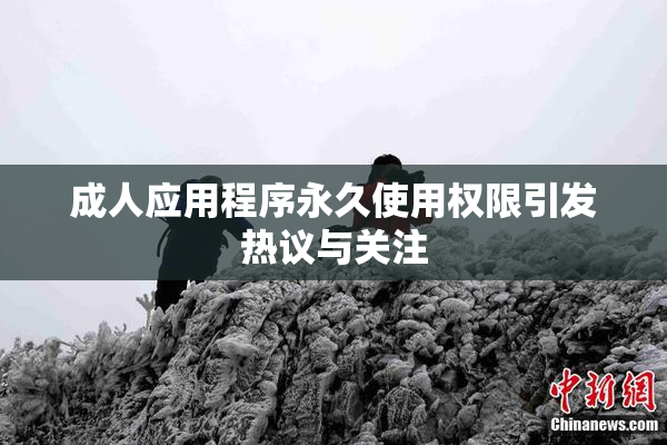 成人应用程序永久使用权限引发热议与关注