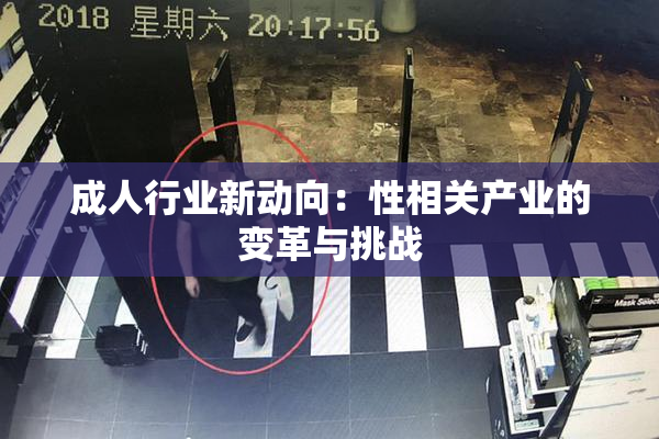 成人行业新动向：性相关产业的变革与挑战