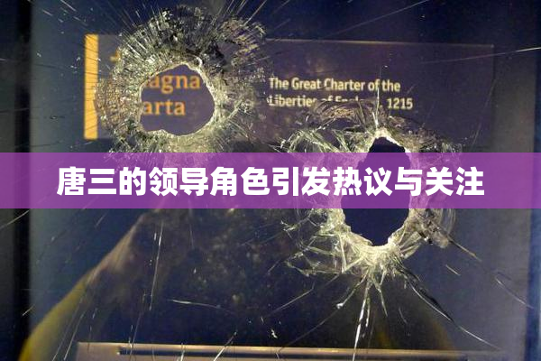 唐三的领导角色引发热议与关注
