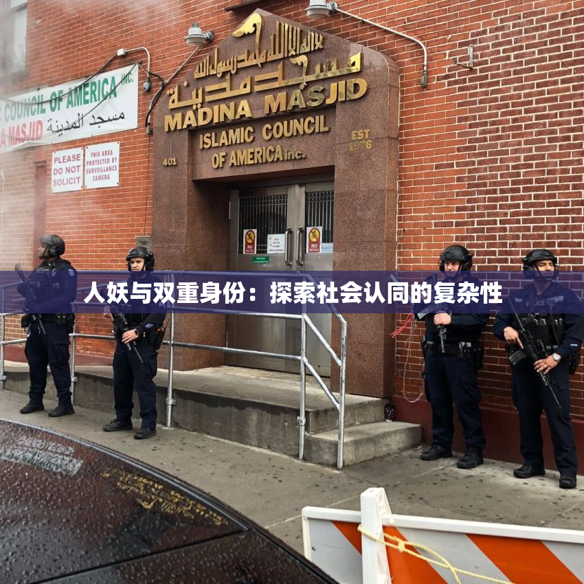 人妖与双重身份：探索社会认同的复杂性