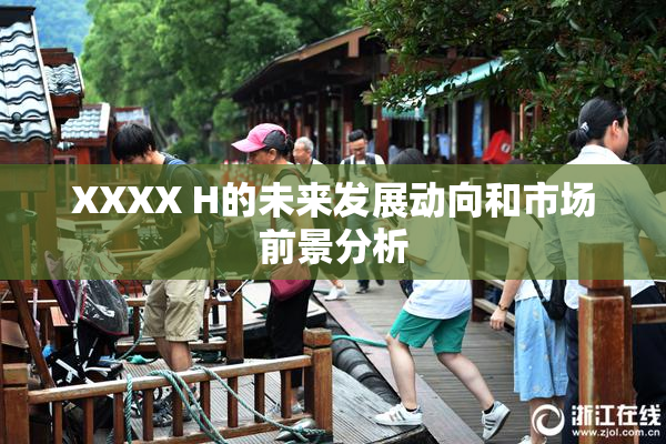 XXXX H的未来发展动向和市场前景分析