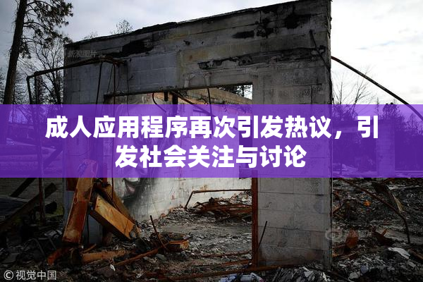 成人应用程序再次引发热议，引发社会关注与讨论
