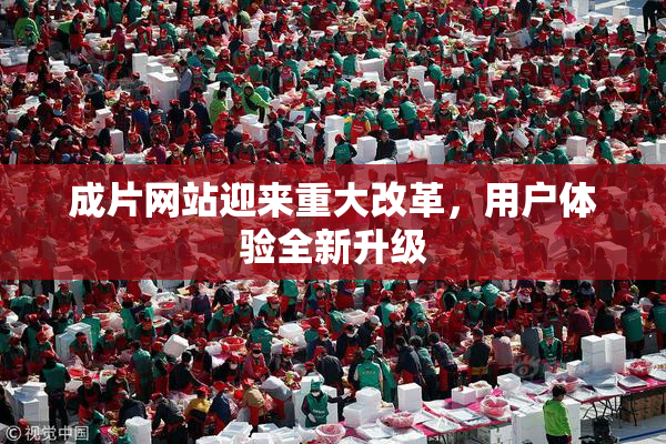 成片网站迎来重大改革，用户体验全新升级