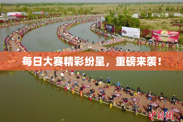 每日大赛精彩纷呈，重磅来袭！