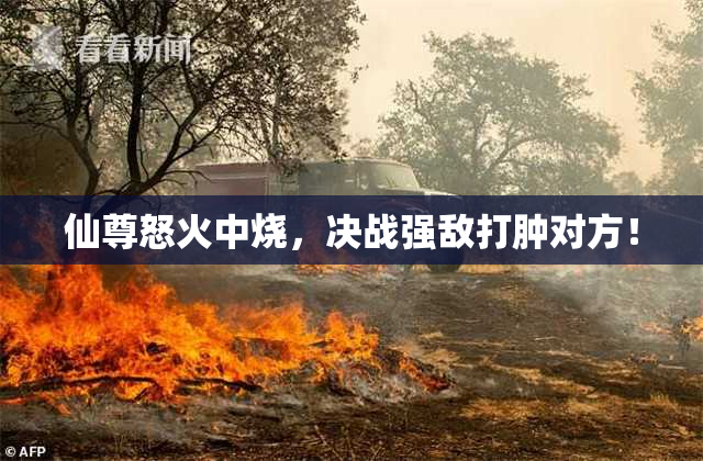 仙尊怒火中烧，决战强敌打肿对方！