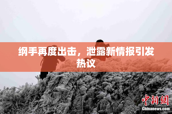 纲手再度出击，泄露新情报引发热议