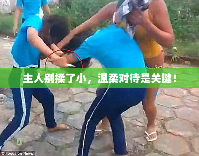 主人别揉了小，温柔对待是关键！
