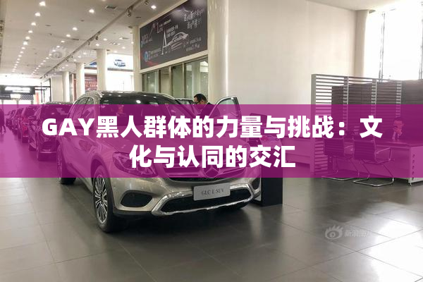 GAY黑人群体的力量与挑战：文化与认同的交汇