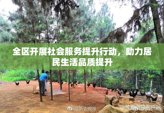 全区开展社会服务提升行动，助力居民生活品质提升