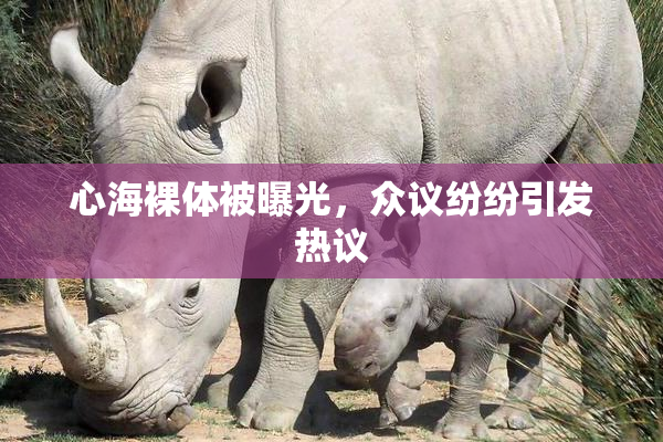 心海裸体被曝光，众议纷纷引发热议