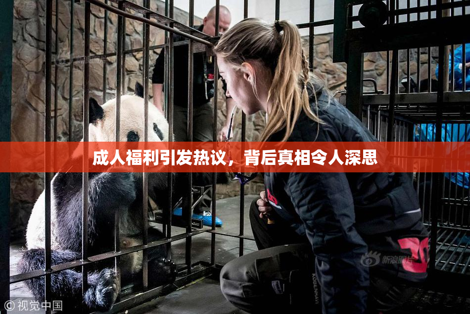 成人福利引发热议，背后真相令人深思