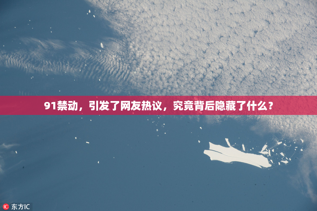 91禁动，引发了网友热议，究竟背后隐藏了什么？