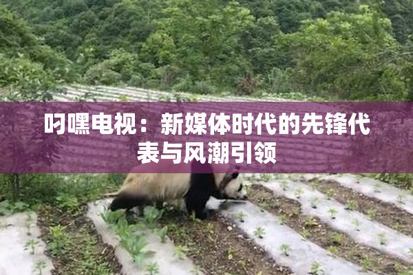 叼嘿电视：新媒体时代的先锋代表与风潮引领