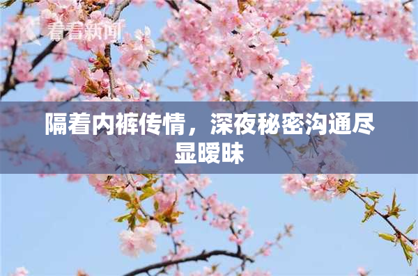隔着内裤传情，深夜秘密沟通尽显暧昧