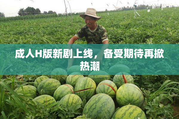 成人H版新剧上线，备受期待再掀热潮