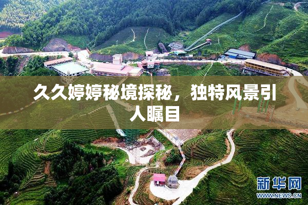久久婷婷秘境探秘，独特风景引人瞩目