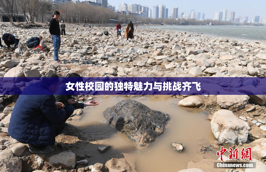 女性校园的独特魅力与挑战齐飞