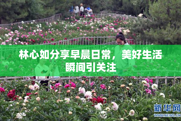 林心如分享早晨日常，美好生活瞬间引关注
