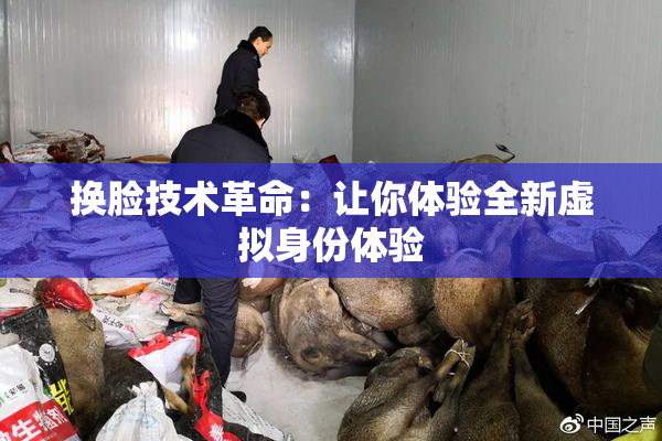 换脸技术革命：让你体验全新虚拟身份体验
