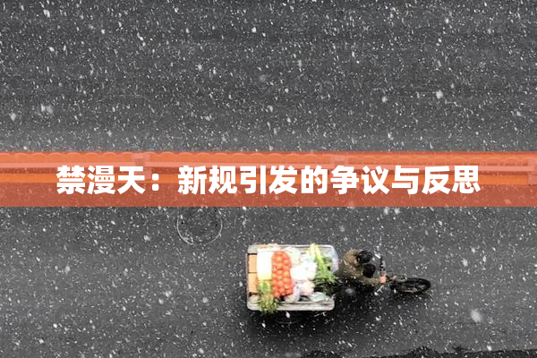禁漫天：新规引发的争议与反思