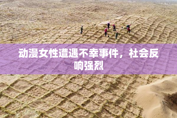 动漫女性遭遇不幸事件，社会反响强烈