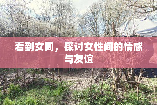看到女同，探讨女性间的情感与友谊