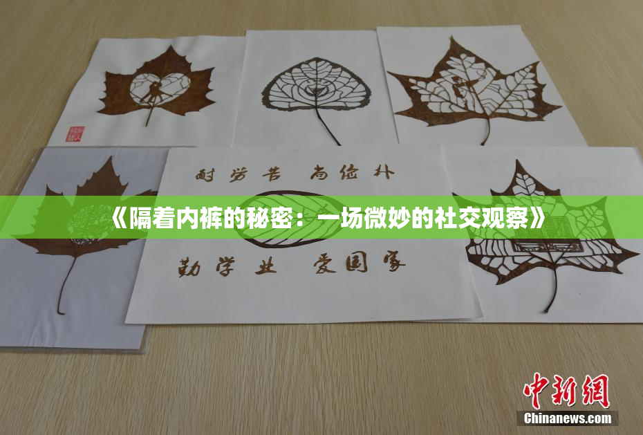 《隔着内裤的秘密：一场微妙的社交观察》