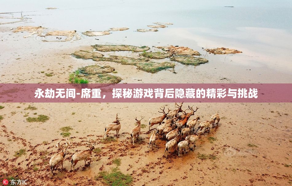 永劫无间-席重，探秘游戏背后隐藏的精彩与挑战