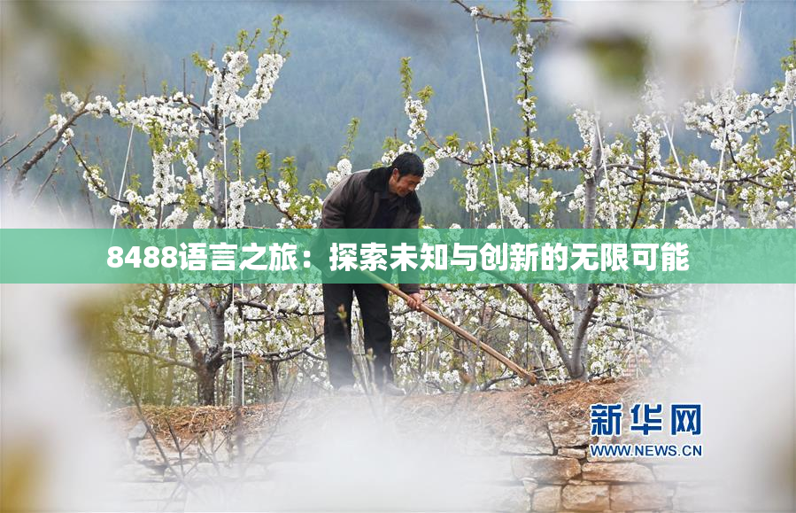 8488语言之旅：探索未知与创新的无限可能