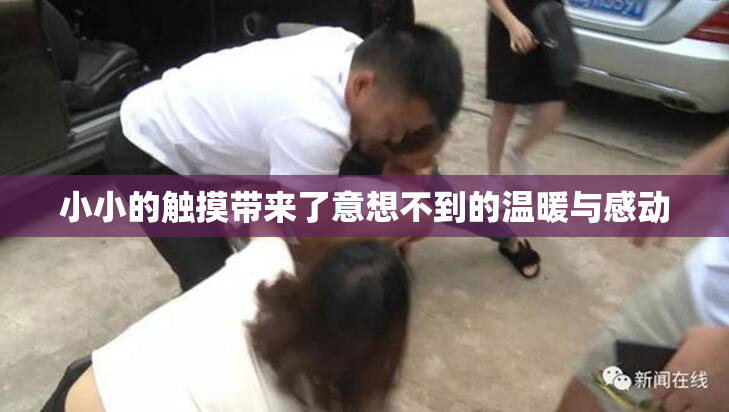 小小的触摸带来了意想不到的温暖与感动