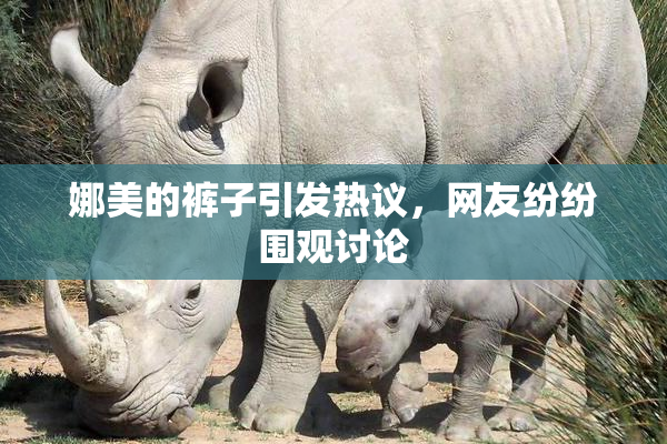 娜美的裤子引发热议，网友纷纷围观讨论