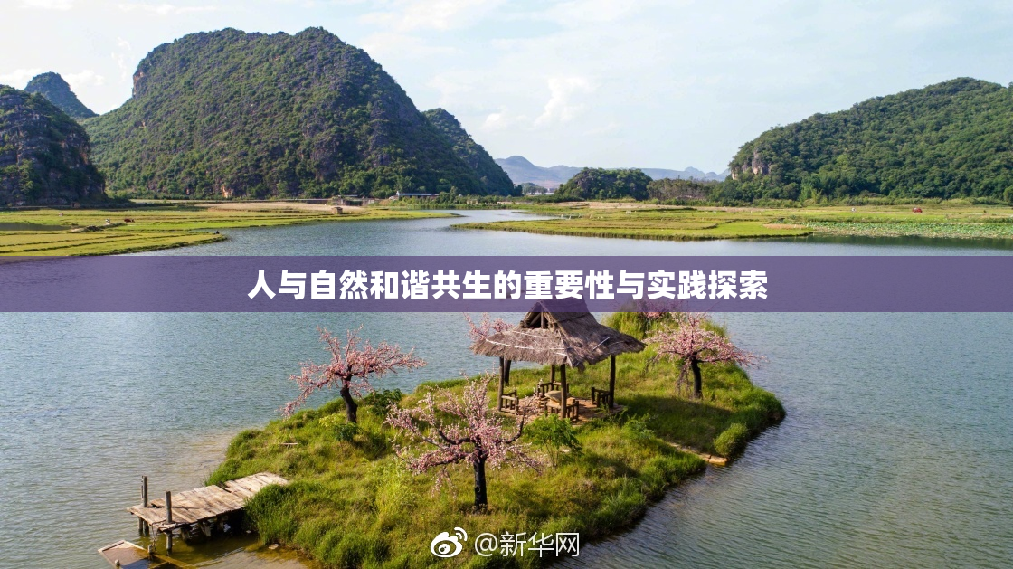 人与自然和谐共生的重要性与实践探索