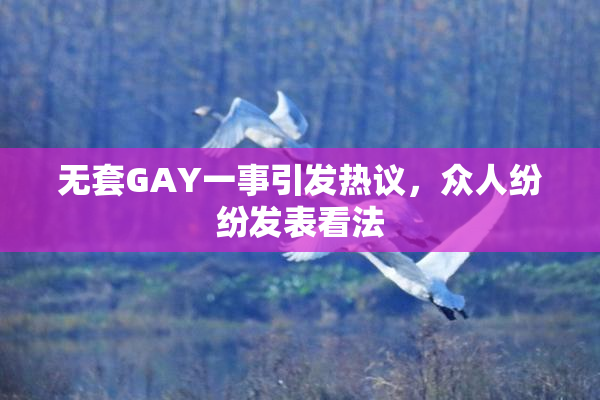 无套GAY一事引发热议，众人纷纷发表看法