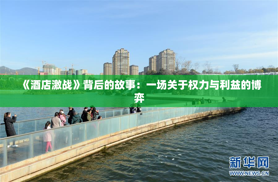 《酒店激战》背后的故事：一场关于权力与利益的博弈